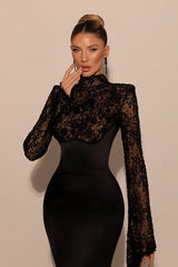 Exquisite Black High Collar Long Sleeves Lace Evening Dresses Mermaid Column With Zipper
