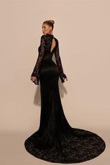 Exquisite Black High Collar Long Sleeves Lace Evening Dresses Mermaid Column With Zipper