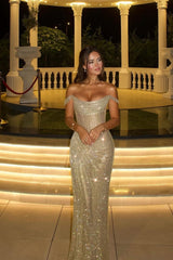 Dazzling Off-The-Shoulder Mermaid Evening Dresses Column Long With Pleats