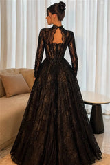 Graceful Black Long Sleeves Lace Evening Dresses A-Line With Zipper