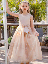 Baby Blue Jewel Neck Sleeveless Bows Lace Tulle Polyester Kids Social Party Dresses-Dbrbridal