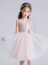 Baby Blue Jewel Neck Tulle Sleeveless Short Princess Dress Bows Kids Social Party Dresses-Dbrbridal
