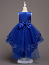 Baby Blue Lace Tulle Princess Tutu Embroidered Kids Ball Gown Dress-Dbrbridal