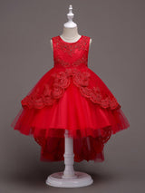 Baby Blue Lace Tulle Princess Tutu Embroidered Kids Ball Gown Dress-Dbrbridal