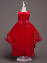 Baby Blue Lace Tulle Princess Tutu Embroidered Kids Ball Gown Dress-Dbrbridal