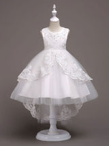 Baby Blue Lace Tulle Princess Tutu Embroidered Kids Ball Gown Dress-Dbrbridal