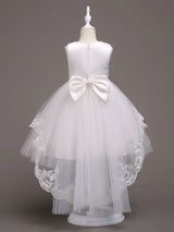 Baby Blue Lace Tulle Princess Tutu Embroidered Kids Ball Gown Dress-Dbrbridal