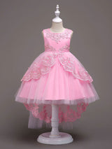 Baby Blue Lace Tulle Princess Tutu Embroidered Kids Ball Gown Dress-Dbrbridal