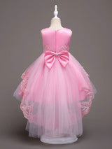 Baby Blue Lace Tulle Princess Tutu Embroidered Kids Ball Gown Dress-Dbrbridal