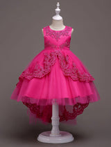 Baby Blue Lace Tulle Princess Tutu Embroidered Kids Ball Gown Dress-Dbrbridal