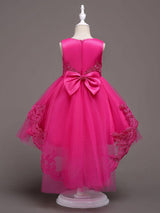 Baby Blue Lace Tulle Princess Tutu Embroidered Kids Ball Gown Dress-Dbrbridal