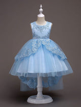 Baby Blue Lace Tulle Princess Tutu Embroidered Kids Ball Gown Dress-Dbrbridal