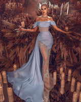 Baby Blue Mermaid Split Tulle Dress With Sequins-Dbrbridal