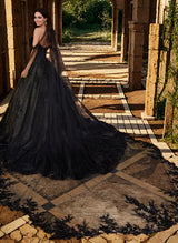 Ball-Gown Princess Elegant Appliques Lace Sweetheart Sweep Train Tulle Wedding Dress-Dbrbridal