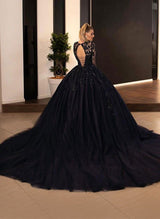 Ball-Gown V-neck Long Sleeve Tulle Wedding Dresses Appliques Lace in Black-Dbrbridal