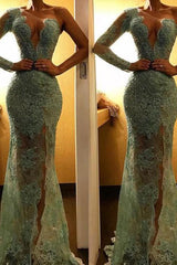Beautiful One Shoulder Mermaid Evening Party Gowns Lace Long Prom Party Dress-Dbrbridal