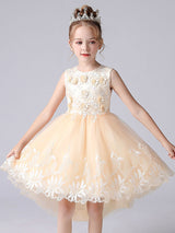 Champagne Color Jewel Neck Sleeveless Flowers Kids Party Dresses Princess Dress-Dbrbridal