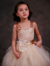 Champagne Princess Lace Straps Flower Sash Tulle Tea Length Toddler'S Tutu Dress-Dbrbridal