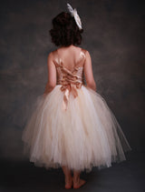 Champagne Princess Lace Straps Flower Sash Tulle Tea Length Toddler'S Tutu Dress-Dbrbridal