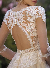 Chic A-line V-Neck Wedding Dresses 3 4 Sleeves Lace Tulle Appliques Lace Back Hole-Dbrbridal