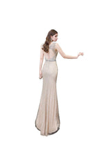 Chic Mermaid V-Neck Silver Party Dress Mermaid Formal Dresses-Dbrbridal