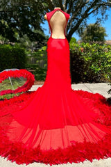 Deep V-neck Mermaid Ruby Feather Silver Beaded Prom Dresses-Dbrbridal
