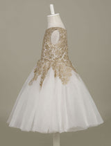 flower girl dress Lace Light Gold Tutu Dress Sleeveless A-line Short Toddler'S Pageant Dress-Dbrbridal