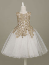 flower girl dress Lace Light Gold Tutu Dress Sleeveless A-line Short Toddler'S Pageant Dress-Dbrbridal