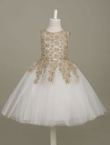 flower girl dress Lace Light Gold Tutu Dress Sleeveless A-line Short Toddler'S Pageant Dress-Dbrbridal
