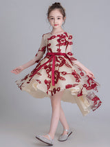 Jewel Neck Half Sleeves Embroidered Kids Social Party Dresses-Dbrbridal