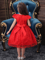 Jewel Neck Polyester Cotton Short Sleeves Short Princess Flowers Kids Social Party Dresses-Dbrbridal
