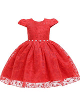 Jewel Neck Polyester Cotton Short Sleeves Short Princess Flowers Kids Social Party Dresses-Dbrbridal