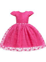 Jewel Neck Polyester Cotton Short Sleeves Short Princess Flowers Kids Social Party Dresses-Dbrbridal