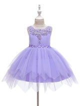 Jewel Neck Polyester Sleeveless Short Princess Bows Kids Social Party Dresses-Dbrbridal