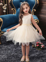 Jewel Neck Polyester Sleeveless Short Princess Bows Kids Social Party Dresses-Dbrbridal