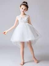 Jewel Neck Tulle Sleeveless Princess High Low Short Embroidered Kids Social Party Dresses-Dbrbridal