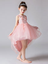 Jewel Neck Tulle Sleeveless Princess High Low Short Embroidered Kids Social Party Dresses-Dbrbridal