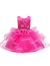 Jewel Neck Tulle Sleeveless Short Princess Beaded Kids Party Dresses-Dbrbridal