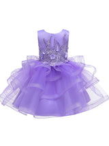 Jewel Neck Tulle Sleeveless Short Princess Beaded Kids Party Dresses-Dbrbridal