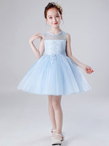 Jewel Neck Tulle Sleeveless Short Princess Embroidered Kids Social Party Dresses-Dbrbridal