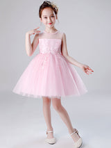 Jewel Neck Tulle Sleeveless Short Princess Embroidered Kids Social Party Dresses-Dbrbridal
