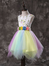 Jewel Neck Tulle Sleeveless Short Sash Princess Embroidered Kids Social Party Dresses-Dbrbridal