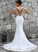 Luxury Lace Long Sleeves Trumpet Mermaid Fitted Wedding Dresses-Dbrbridal
