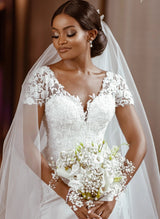 Luxury V-neck Lace Mermaid Fitted Wedding Dresses-Dbrbridal