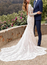 Luxury V-Neck Long Sleeve Wedding Dresses Appliques Lace-Dbrbridal