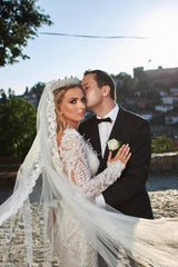 Noble vneck longsleeves mermaid lace Wedding Dresses-Dbrbridal