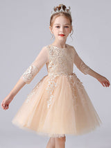 Pink Jewel Neck Lace Half Sleeves Short Princess Dress Kids Social Party Dresses-Dbrbridal
