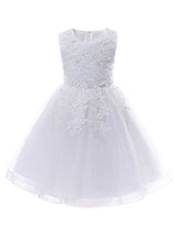 Pink Jewel Neck Sleeveless Lace Tulle Polyester Embroidered Kids Party Dresses-Dbrbridal