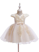 Pretty V Neck Short Sleeves Flowers Kids Party flower girl dresses-Dbrbridal