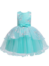 Sleeveless Tutu Gown Baby flower girl dresses-Dbrbridal
